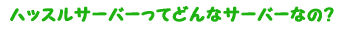 �ɤ�ʥ�󥿥륵���С�?